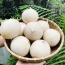 Dừa tươi mới hái( Dừa xiêm) đảm bảo ngon
